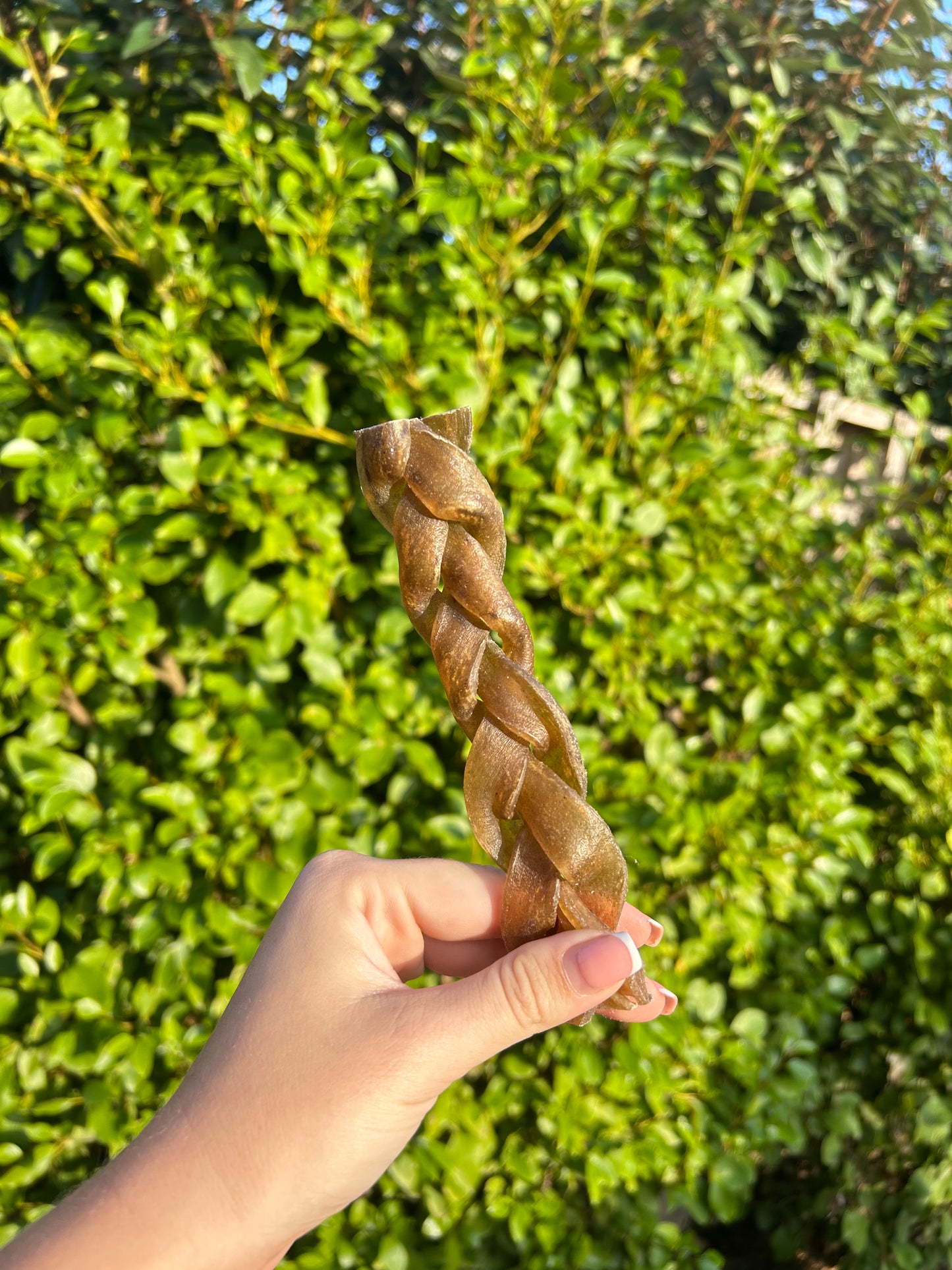 Camel Braid - Medium