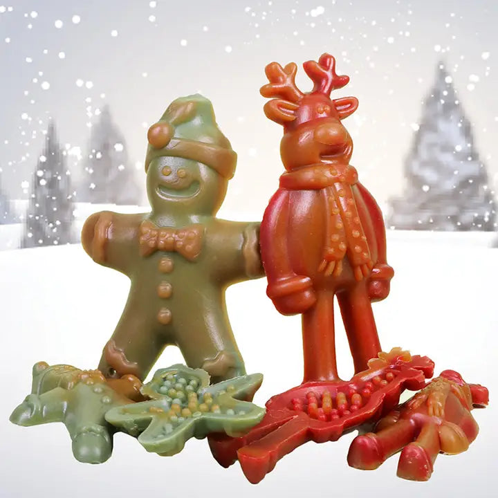 Vegetarian Dog Treats - Ginger & Dasher