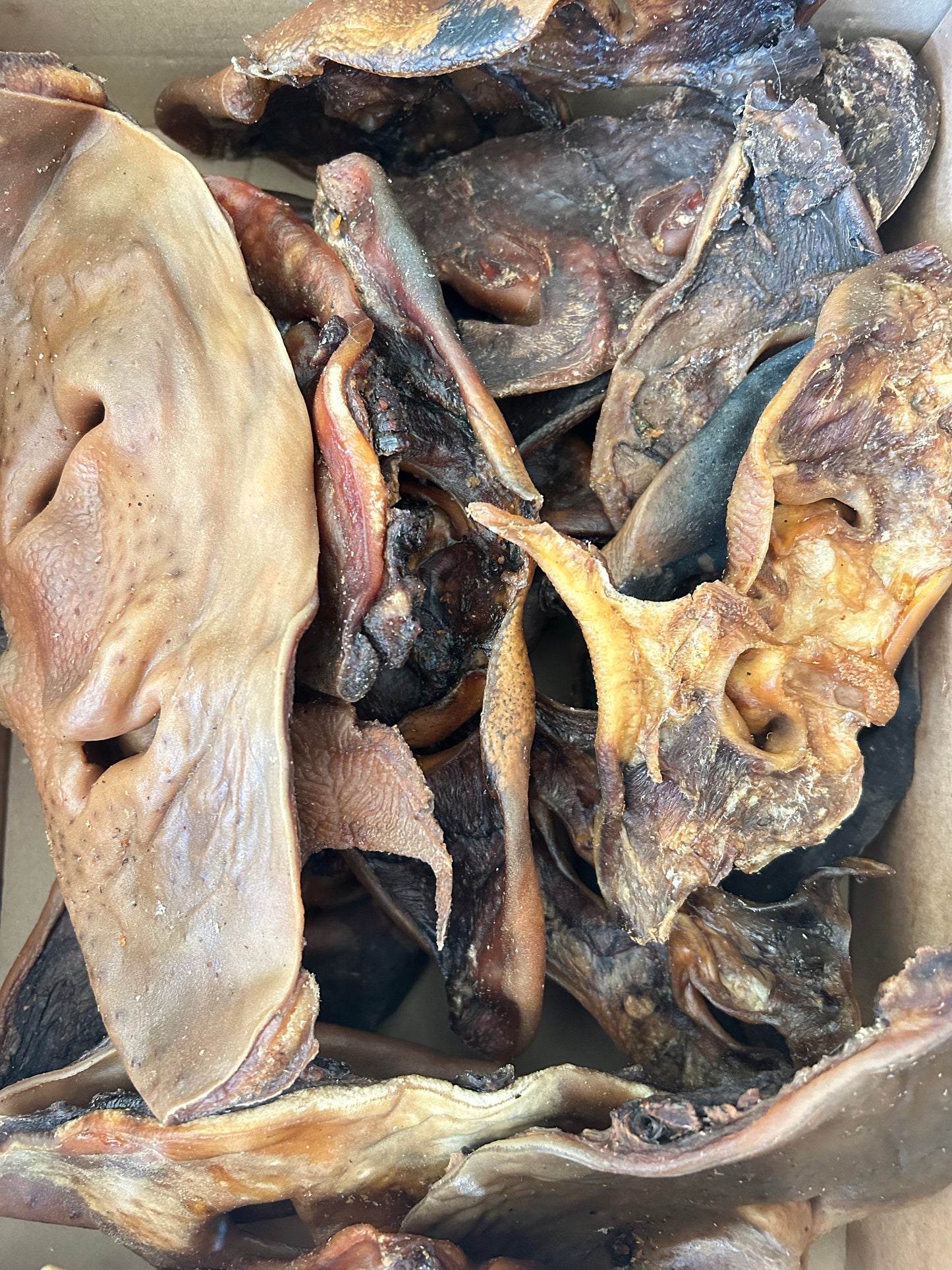 Cow Snout - Large
