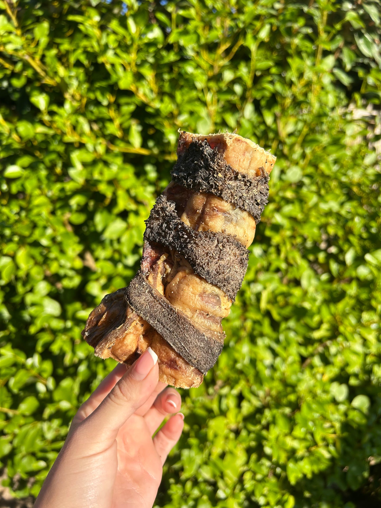Tripe Wrapped Beef Trachea