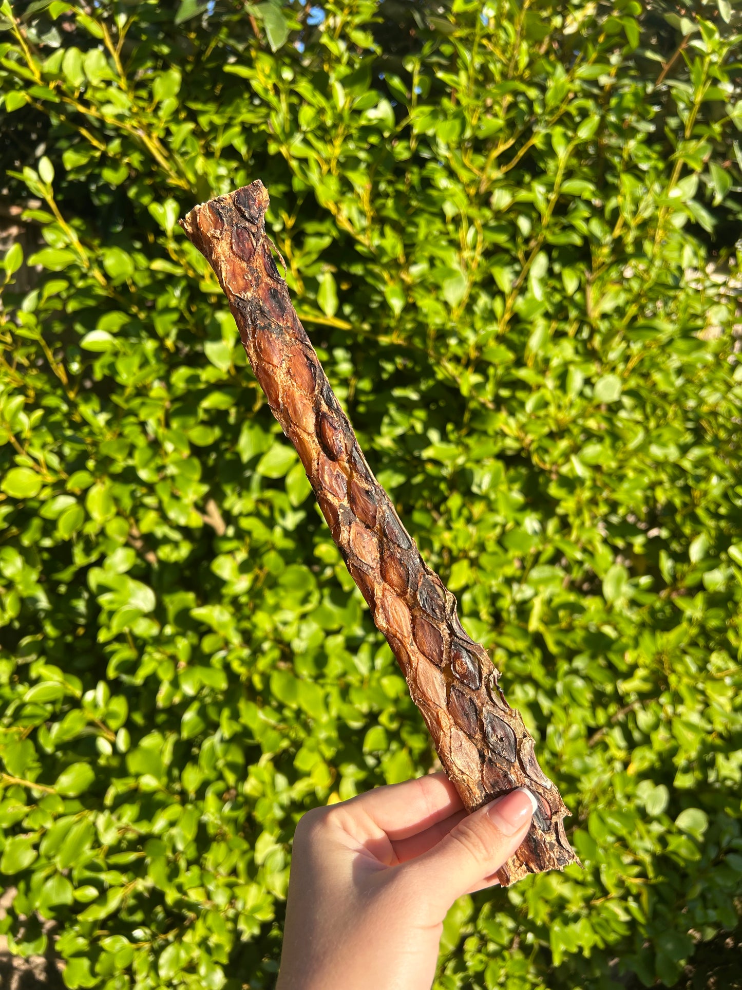 Ostrich Biltong