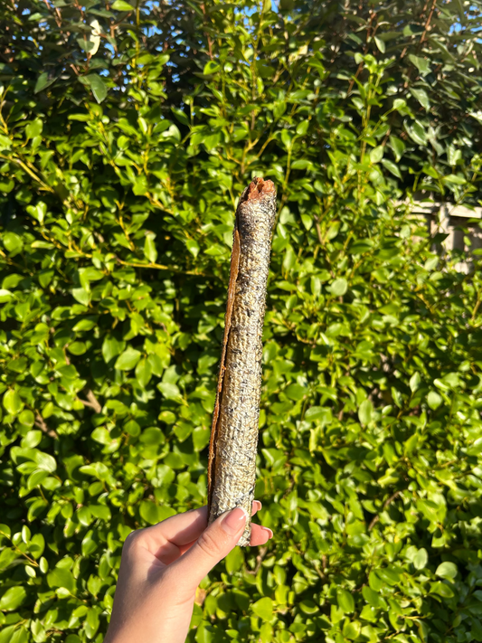 Salmon Skin Roll