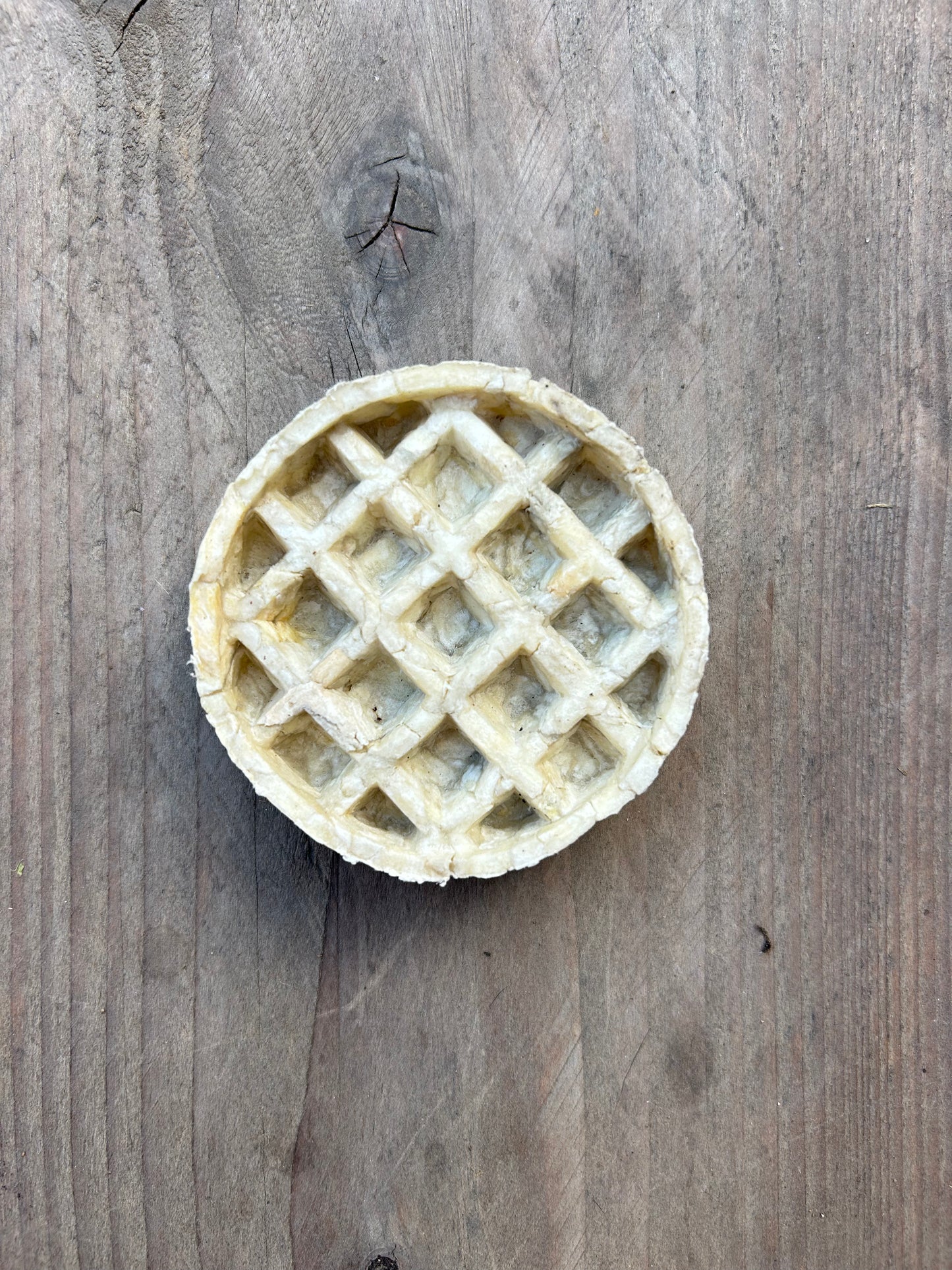 Collagen Waffle