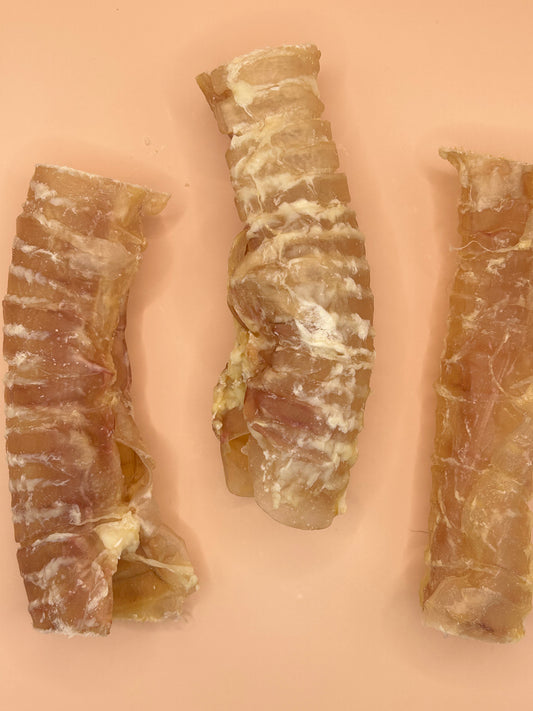 Beef Air Pipe (Trachea)