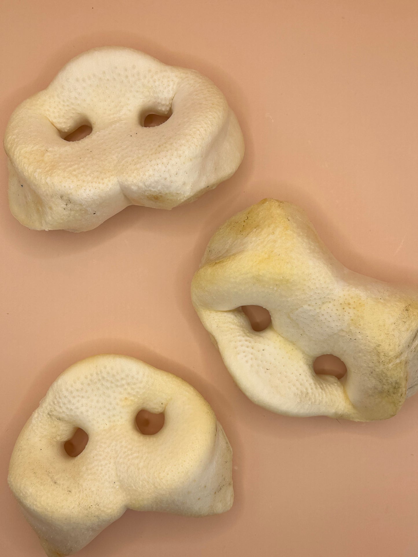 Puffed Porky Snouts